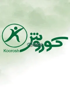 فیزیوتراپی کوروش در تهرانسر